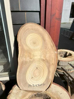 Eucalyptus